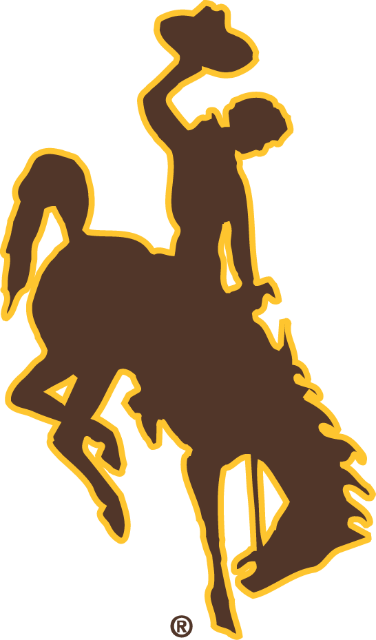 Wyoming Cowboys 2006-Pres Primary Logo iron on transfers for T-shirts